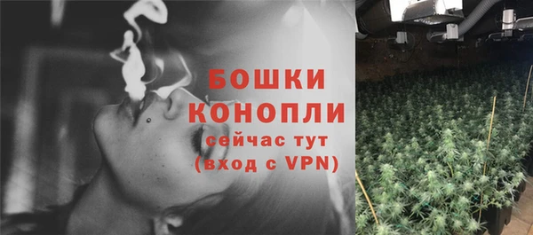 бутират Лагань