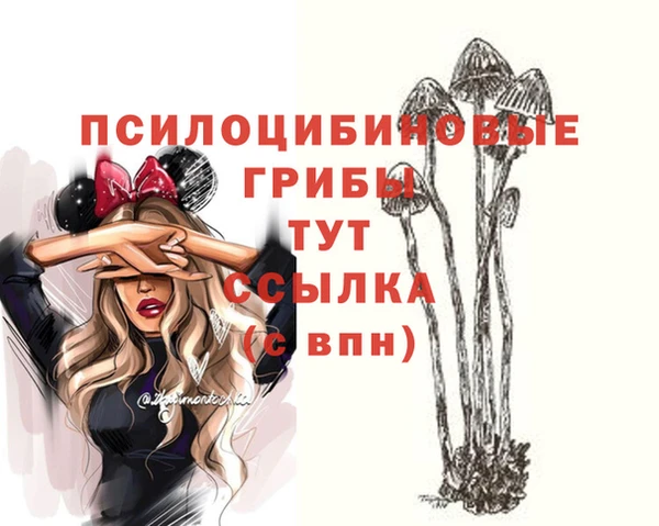 бутират Лабытнанги