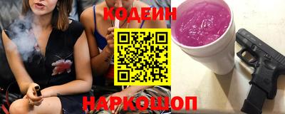 индика Гусев