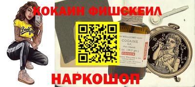 индика Гусев