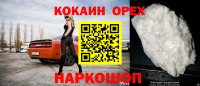 индика Гусев