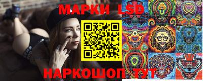 индика Гусев
