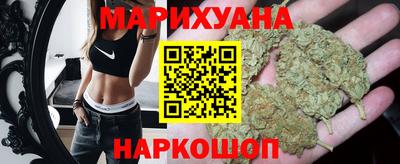 индика Гусев