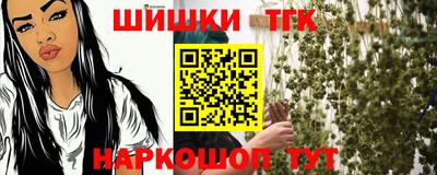 индика Гусев