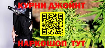 индика Гусев