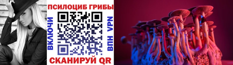 Псилоцибиновые грибы мухоморы цена Кострома