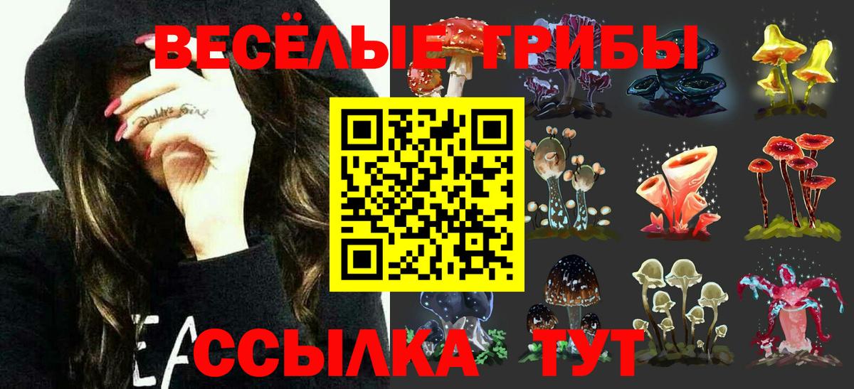 Галлюциногенные грибы мухоморы Кострома