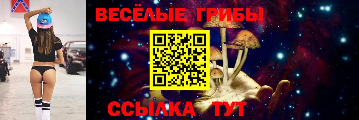 Псилоцибиновые грибы Magic Shrooms  Вход с VPN  Кострома 